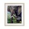 Stupell Industries Baby Elephant And Mother Framed Print Under Glass, design by James Corwin